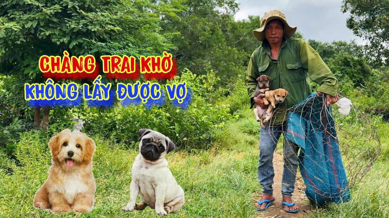 ANH CHÀNG khờ, sống cực khổ, ăn ngủ ở rừng, NUÔI CHÓ làm bạn - tập 1234