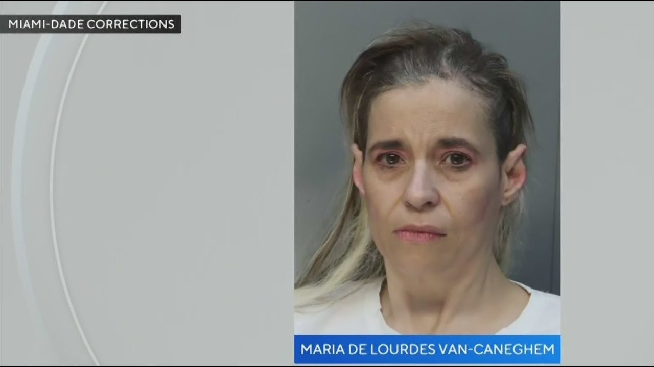 Accusers come forward after woman arrested for allegedly posing as immigration attorney