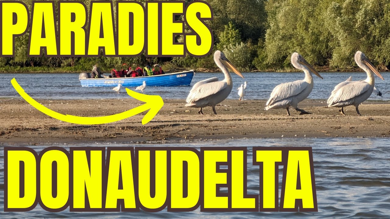Wunderschönes Donaudelta