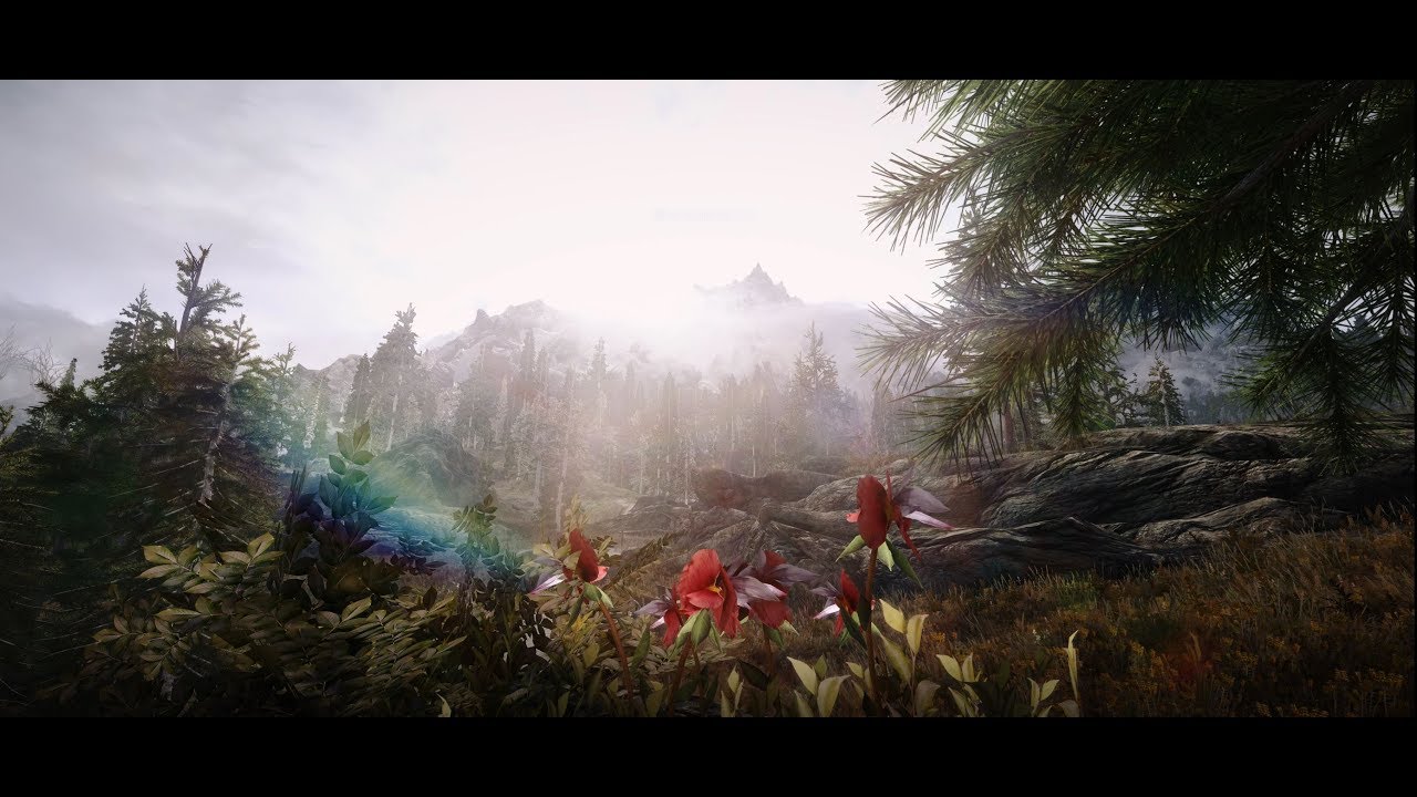 Skyrim SE 4K Showcase 2018 | 