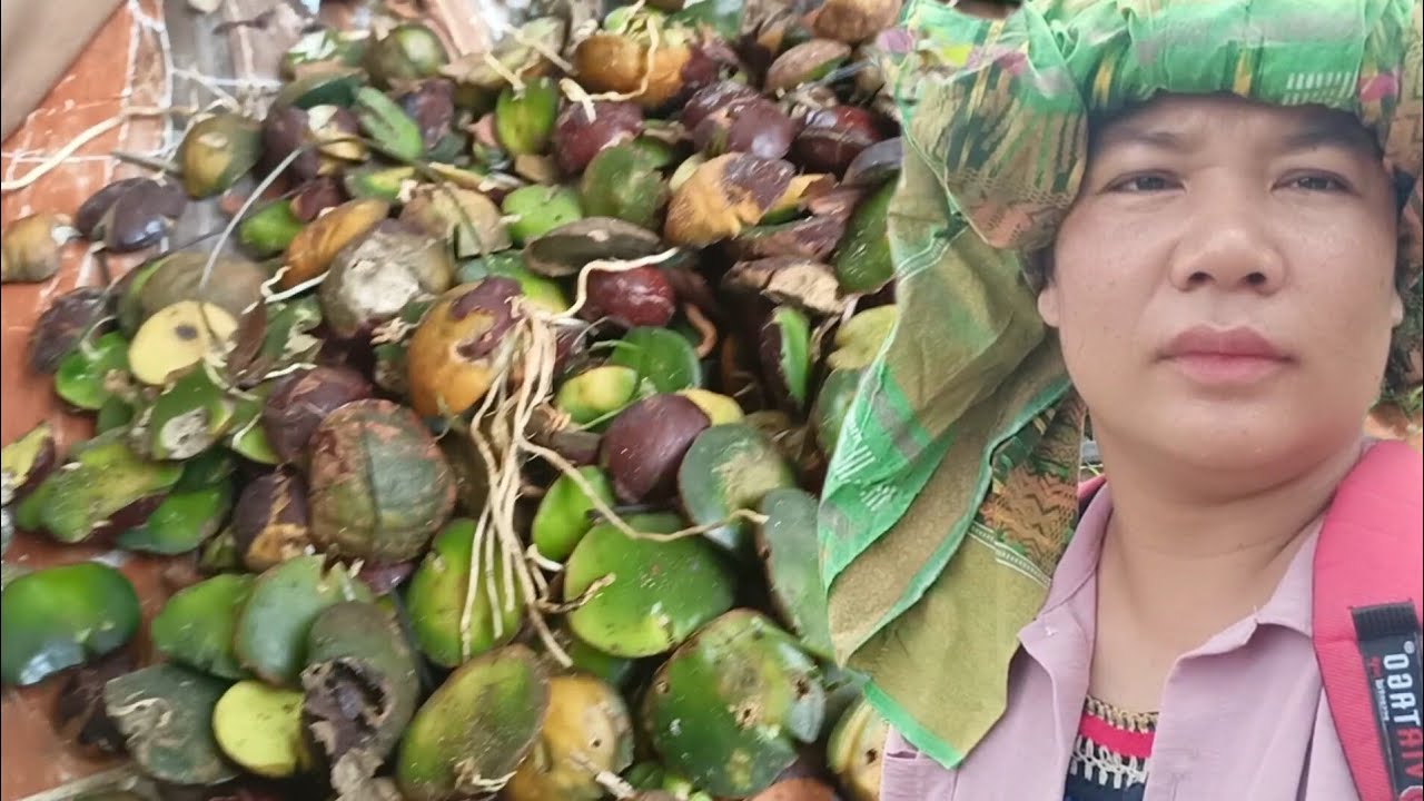 Hasil Gramban hari ini banyak sekali dapat
