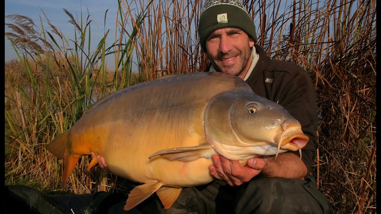 The World Record CARP lake