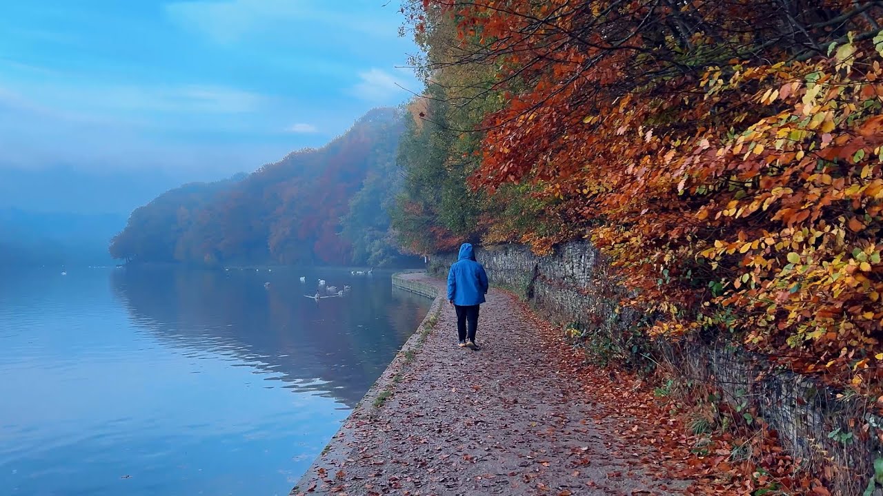Morning Walk in Roundhay Park 🇬🇧 Autumn Mist, Calm Lake & Real Nature Sounds