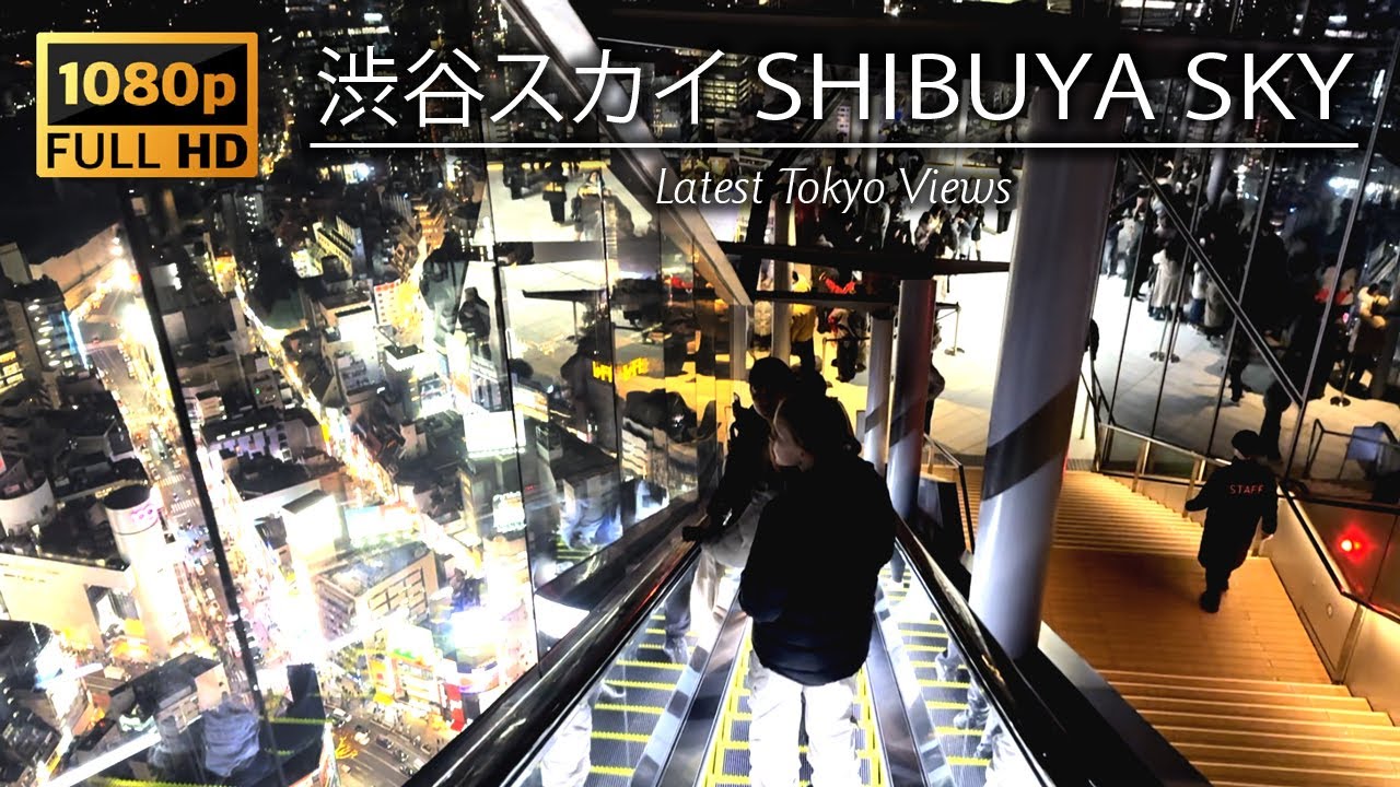 [HD/1080p] 2024 Новейший захватывающий вид с высоты Shibuya Sky. Красивый закат и гора.