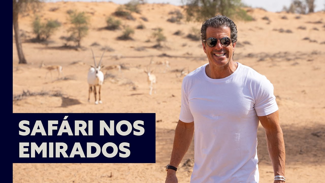 Conhecendo o Oryx, um dos animais símbolos dos Emirados