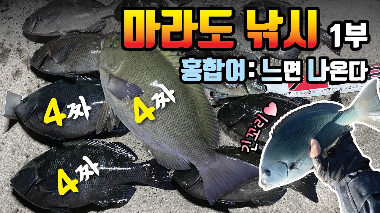 [ 마라도 낚시 1부 ] 홍합여: 느면 나온다!