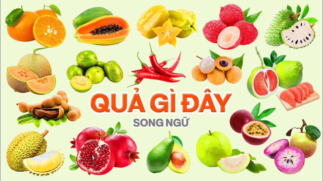 Quả Gì Đây 2, Dạy Bé Đọc Tên Trái Cây, Hình Thực Tế | Song Ngữ Anh Việt | Fruit farm, Agricultural