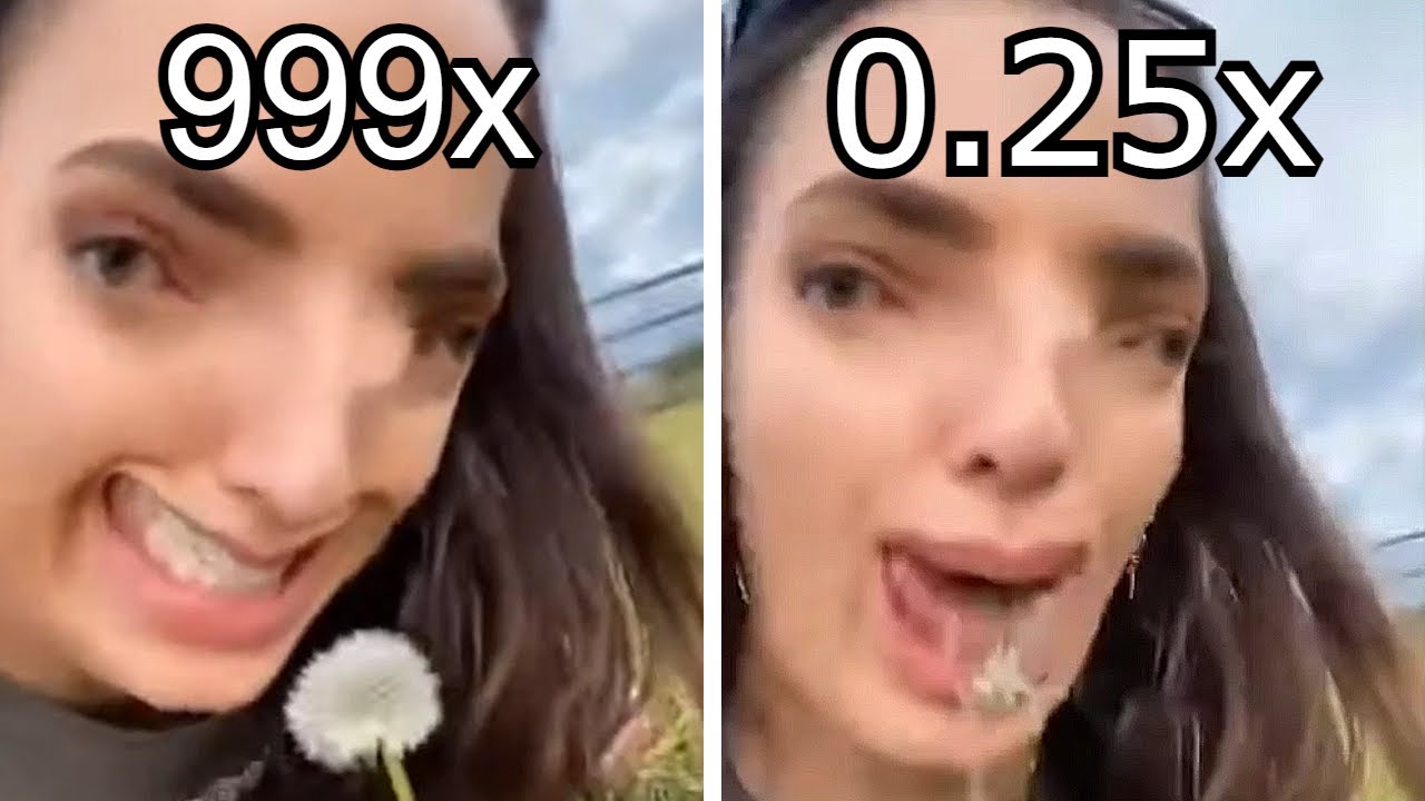 О, смотрите, одуванчик, но его скорость 0,25x против 999x.