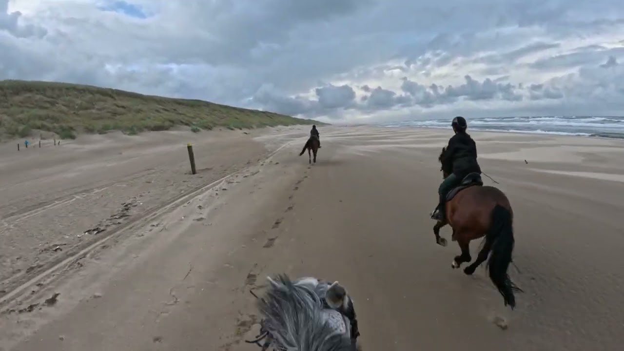 strandrit galop1