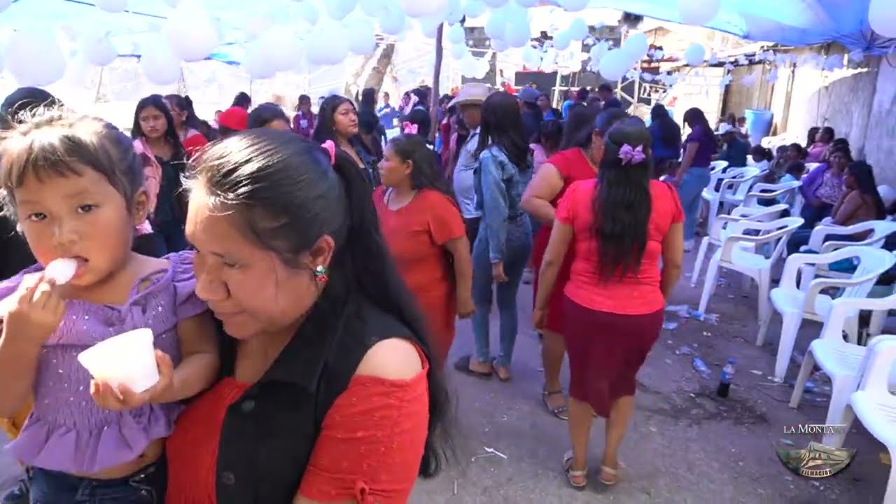 Entre Golpes y Besos 💃🏻🕺🏻🇲🇽 El Tigrillo de San Marcos 🎸🎹🎼 