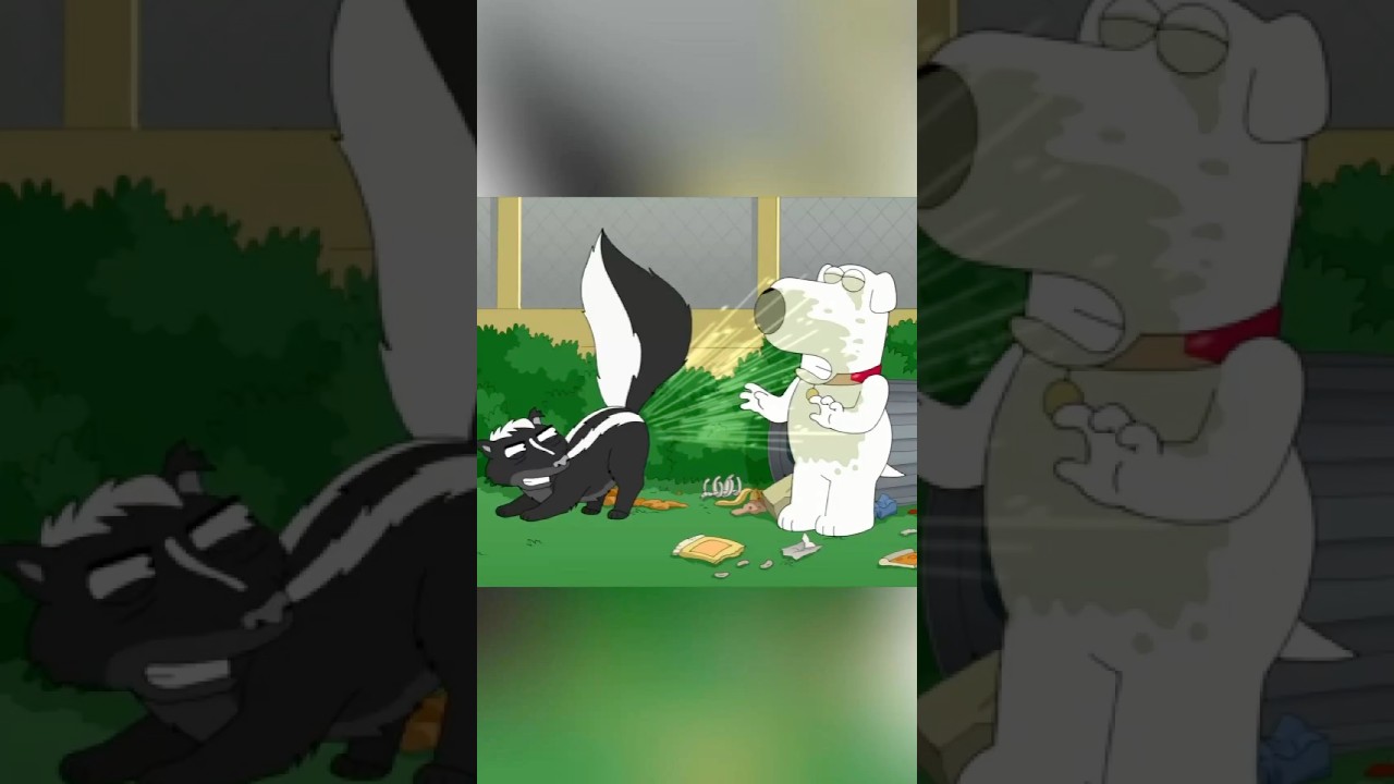 Brian Gets Skunked and Loses It! 🦨🤣 #familyguy #funny #petergriffin