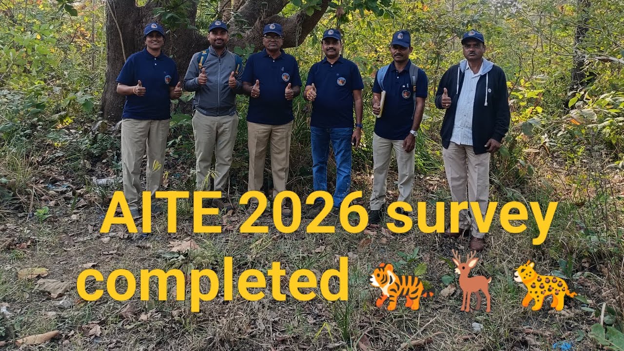 🐅🌱All India Tiger Estimation.2026 completed. #wildlife #wild animals