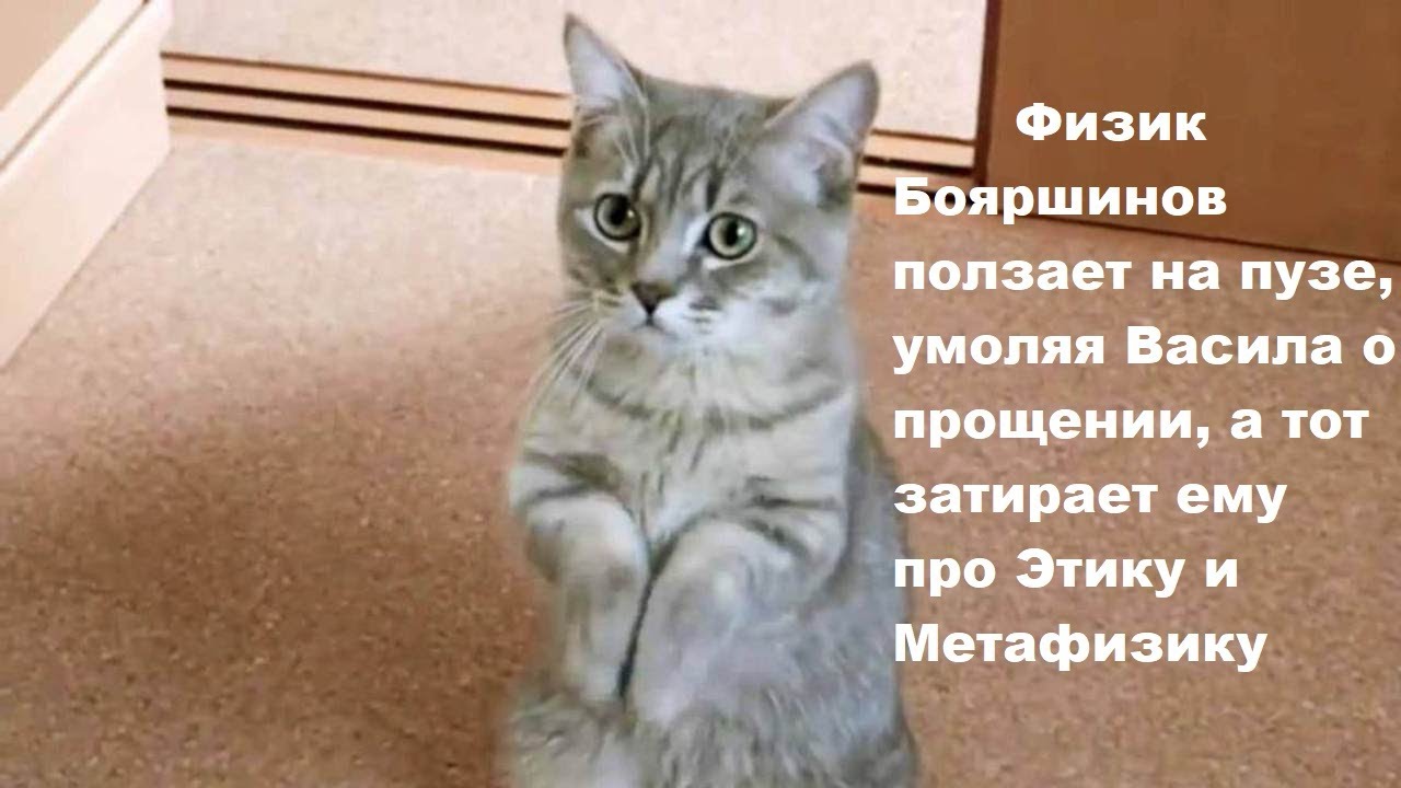 Физик Бояршинов ползает на пузе, умоляя Васила о прощении, а тот затирает ему про Этику и Метафизику