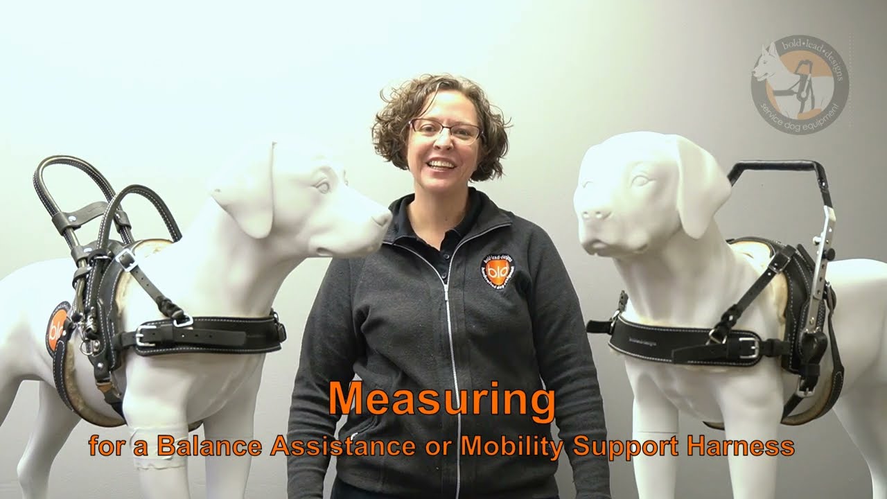 Measuring Instructions for BAH and MSH r8 2022