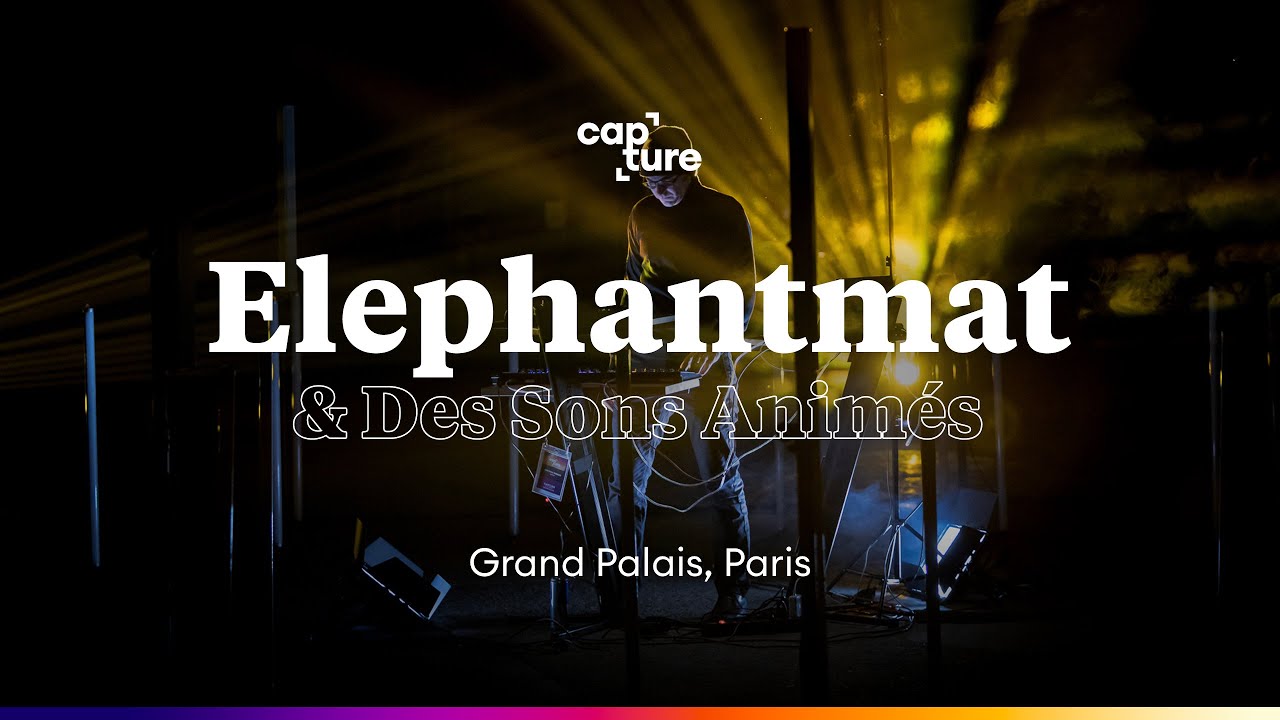 Elephantmat • Capture | Grand Palais