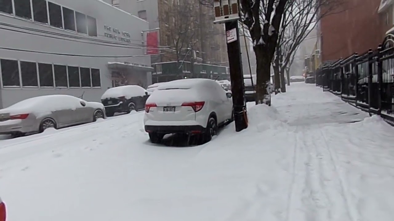 102 1225SNOWSTORM IN THE BRONX (2026))