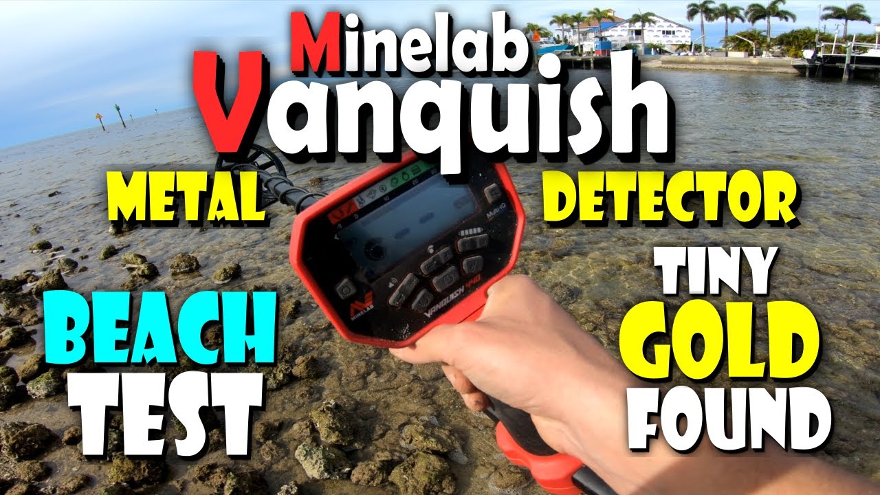 Minelab Vanquish 440 | TINY 14k Gold Found | Beach Metal Detecting