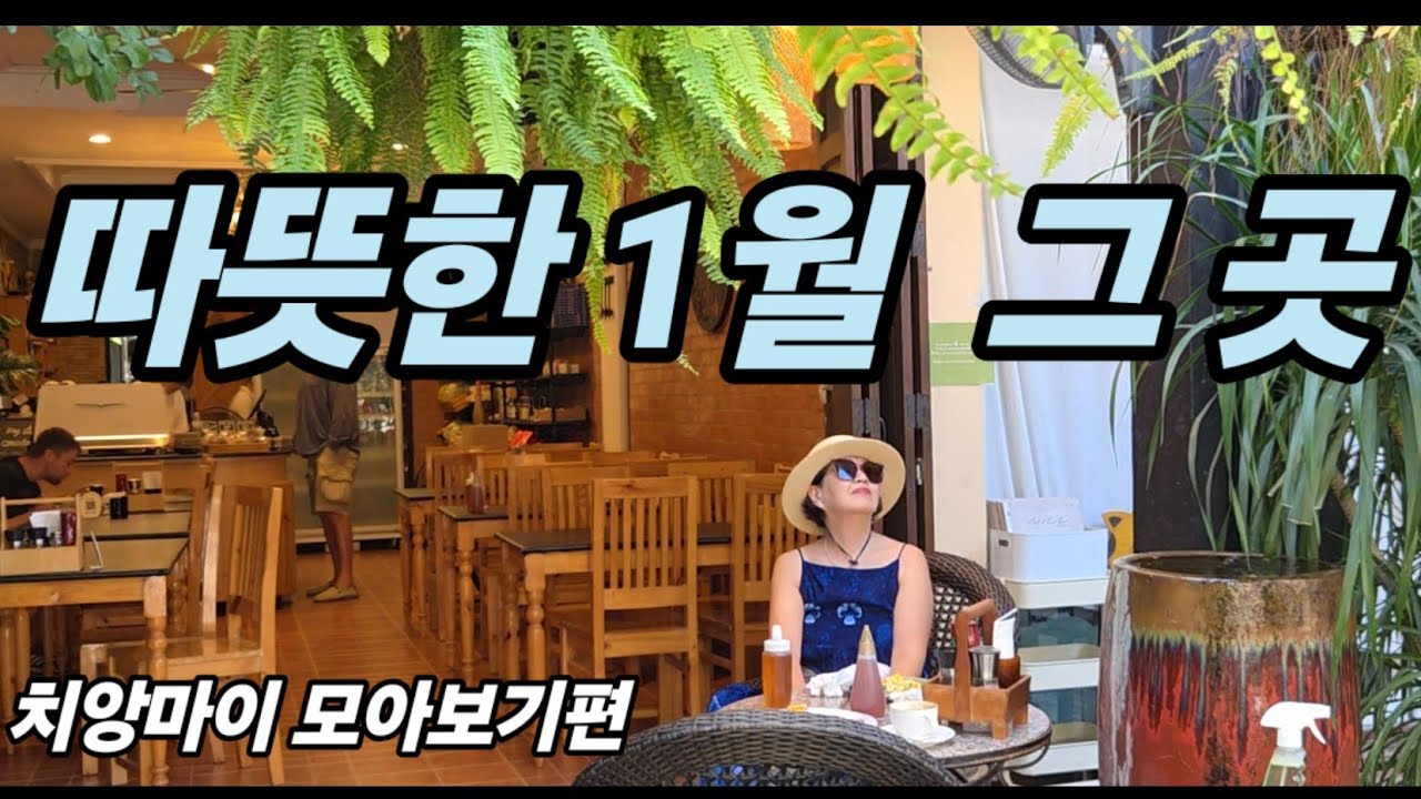 🇹🇭 1월의 치앙마이는 따뜻하고 행복했다  (26 년 )/  치앙마이 자유여행일정 / 모든정보