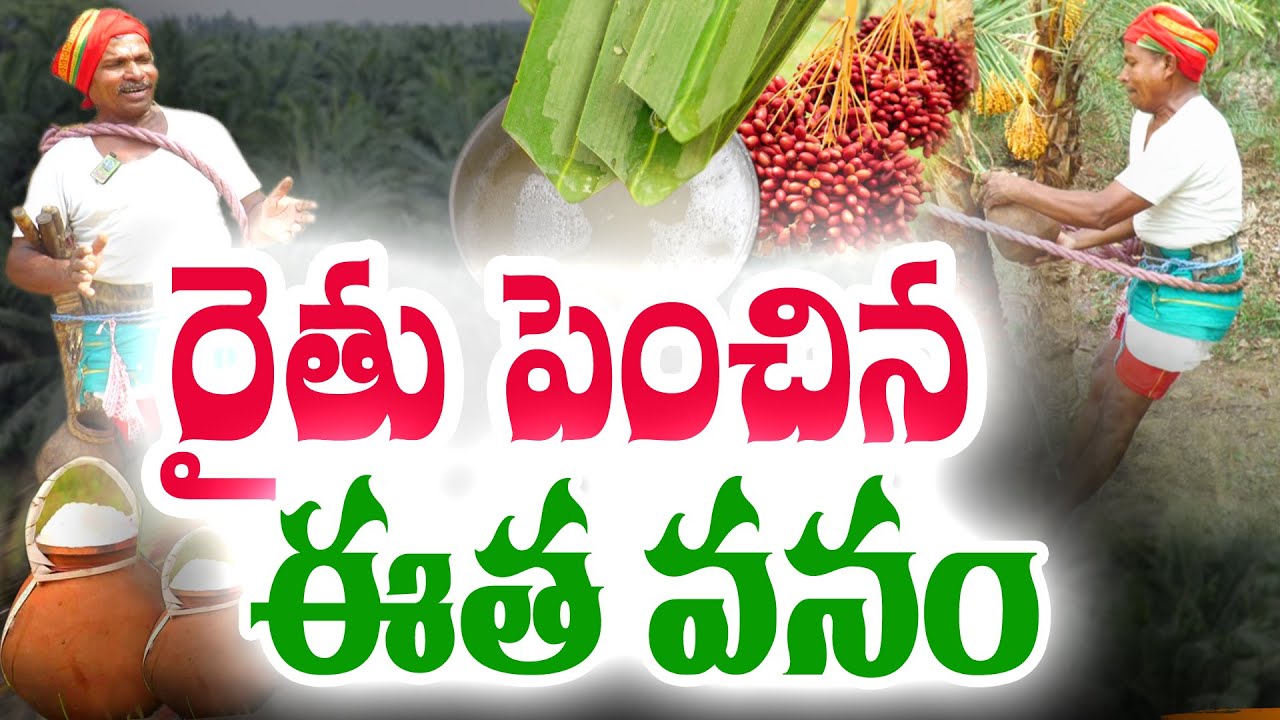 వ్యవసాయ భూమినే #ఈత వనంగా మార్చేసిన రైతు | #Toddy & # Neera | #baleshwar @Raitunestham