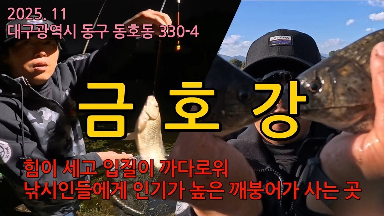 202511 대구광역시 동구 동호동 330-4 금호강