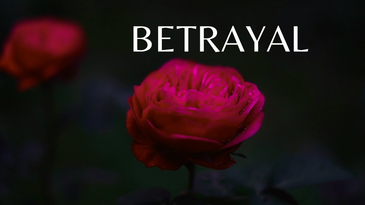 BETRAYAL 𓇢𓆸  QUANTUM Subliminal HEALING