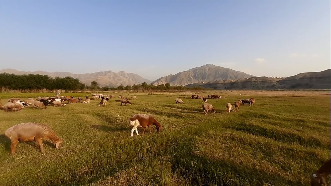 Naghlu village, Sarobi district, Kabul province, Afghanistan