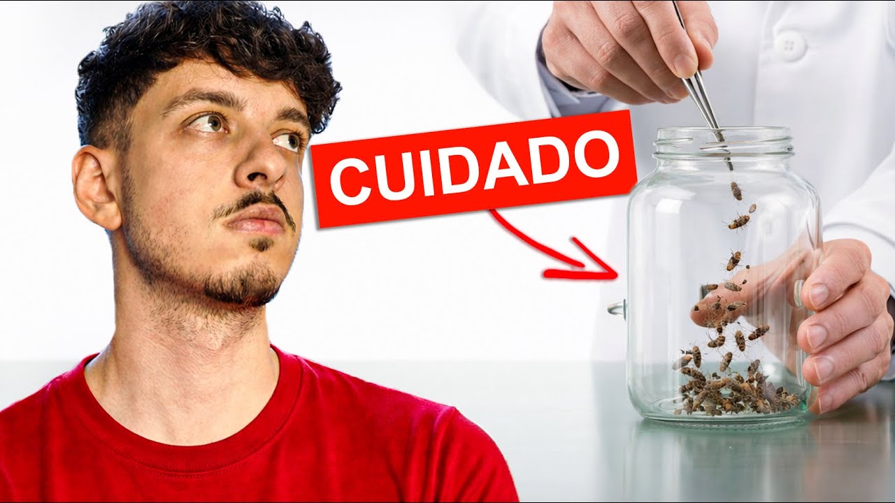 Estas Estancado en tu Vida por esto (Experimento de las Pulgas)