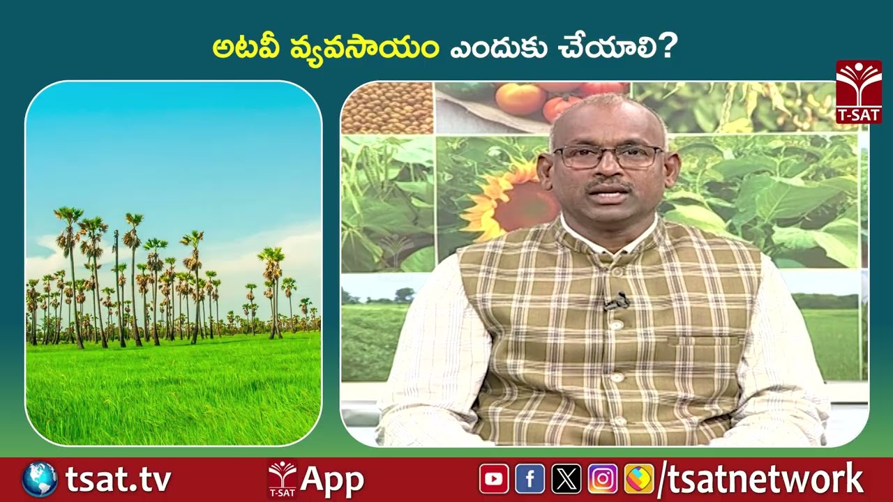 అటవీ వ్యవసాయం ఎందుకు చేయాలి ? | T-SAT