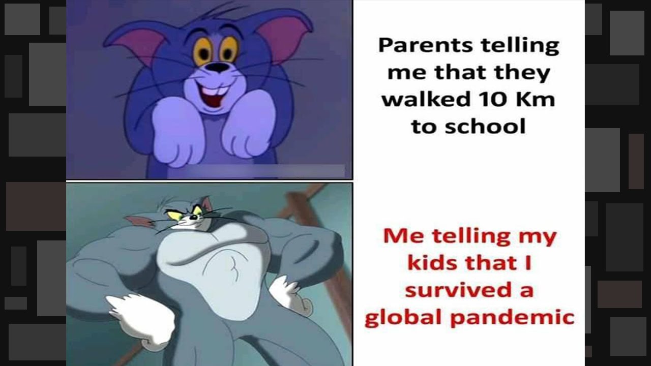 Meme Rewards 16
