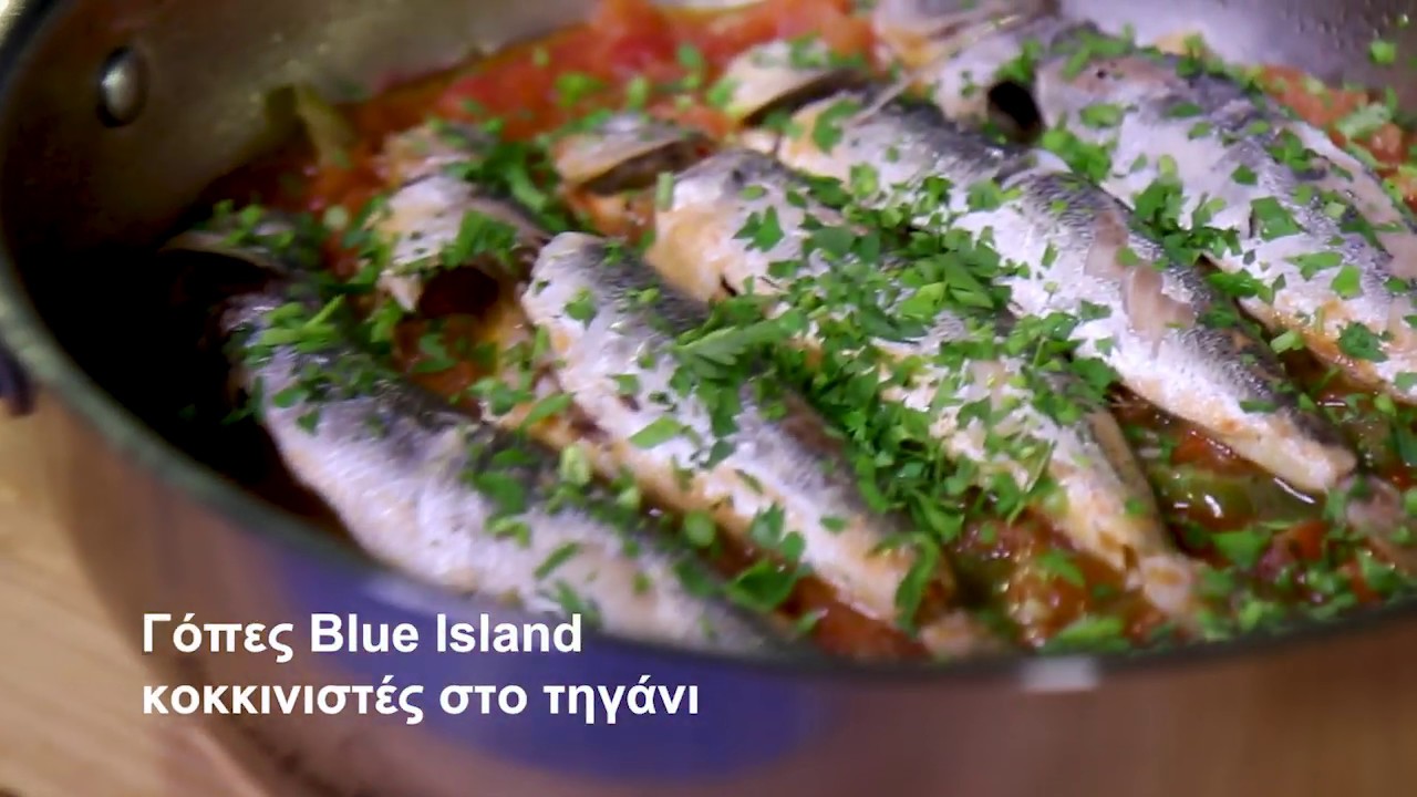 Γόπες Blue Island κοκκινιστές στο τηγάνι