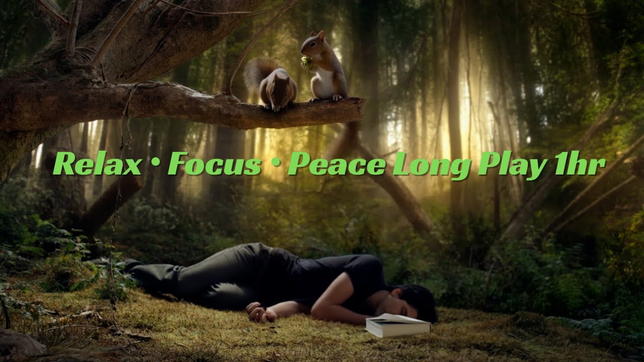 Relax • Focus • Peace Mix Long play 1 hr