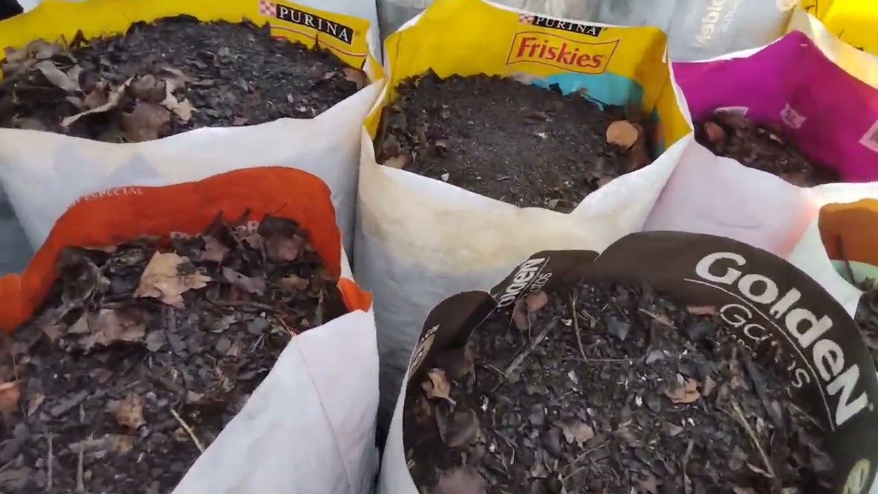 lixo transformado em adubo orgânico🌴🏡🌴🏌️‍♀️🌳💥