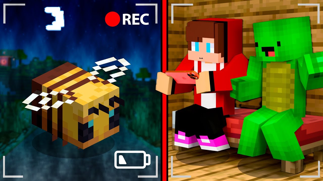 JJ and Mikey Saw BEE stole a house on The Cameras - Maizen