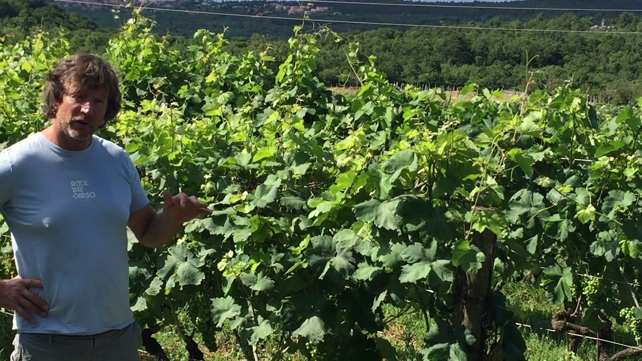 Skerk, Friuli Venezia Giulia: Slow Wine 2022