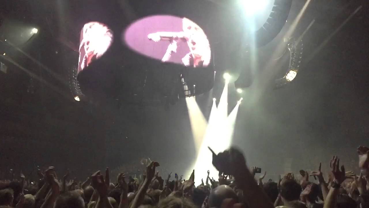 Muse 
