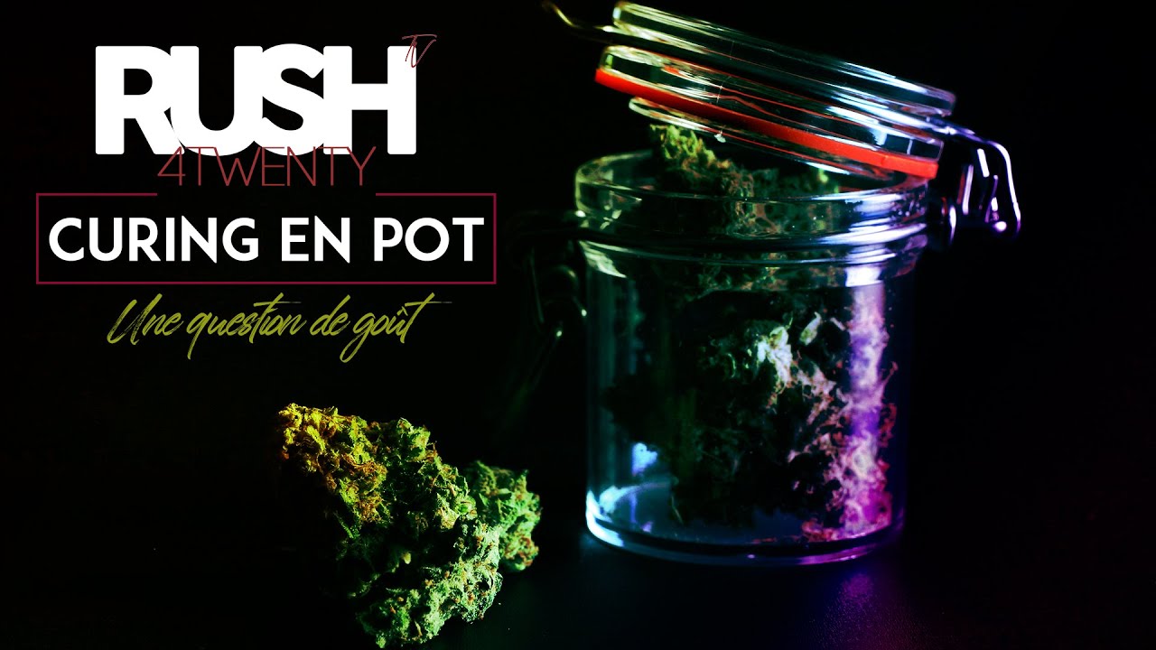 CBD CURING (une question de go&ucirc;t). 🌱🫙