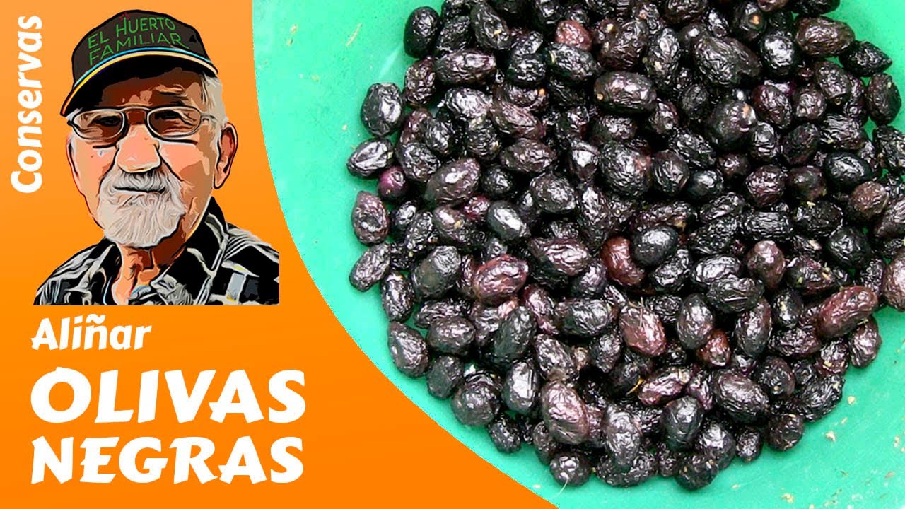 ACEITUNAS 𝗡𝗘𝗚𝗥𝗔𝗦: CÓMO ALIÑAR OLIVAS NEGRAS