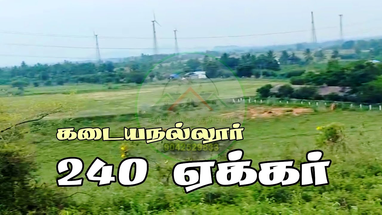 தென்காசி மாவட்டம், கடையநல்லூரில் 240 ஏக்கர் நிலம் விற்பனைக்கு வந்துள்ளது.