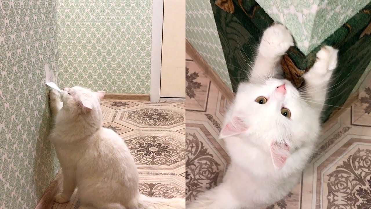 Самодельные когтеточки или спасаем углы от кота