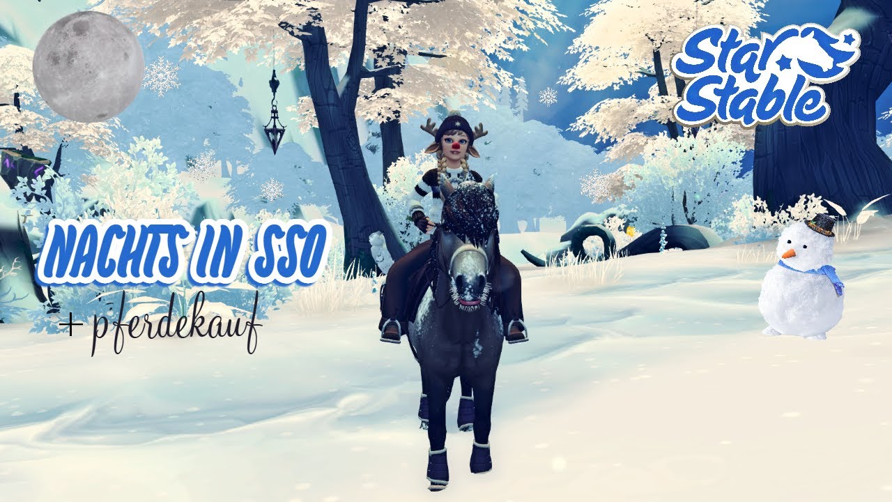 NACHTS IN SSO 🌙😴ll SSO [StarStable]