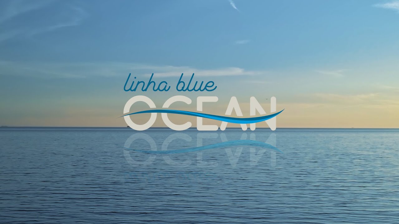 Blue Ocean, uma a&ccedil;&atilde;o efetiva de limpeza dos oceanos