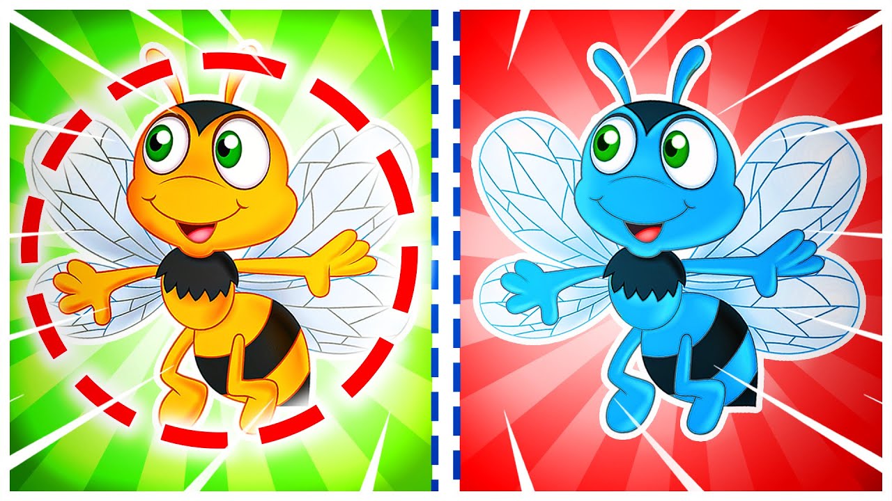 Trova La Differenza 🤭🔍 + Altri Video Educativi per Bambini | Piccoli Saggi