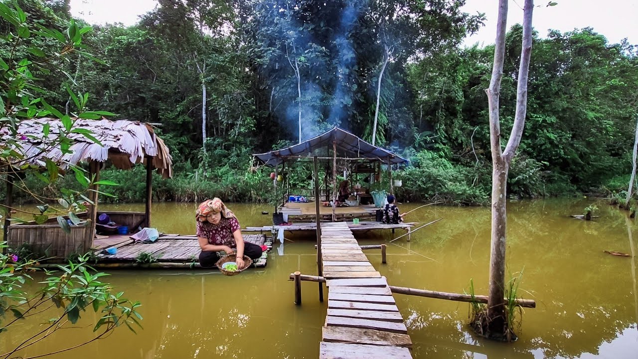 Kehidupan desa dayak, berpetualang di hutan belantara cari ikan dan masak di pondok pinggir sungai