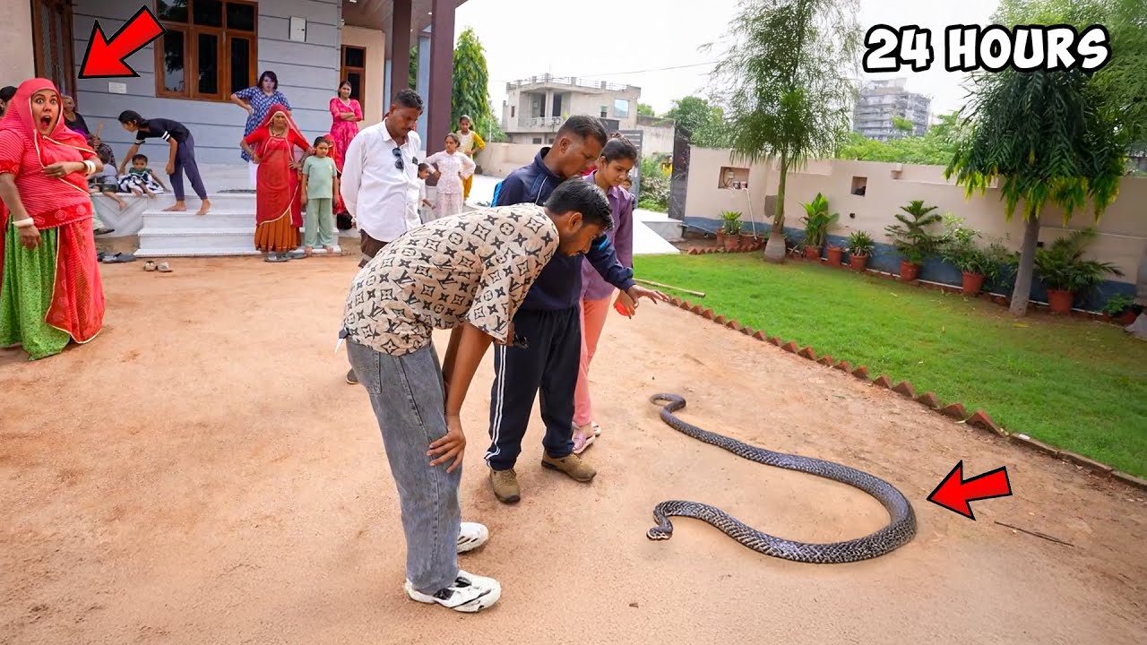24 Hours Snake Rescue Challenge 100% real 🐍