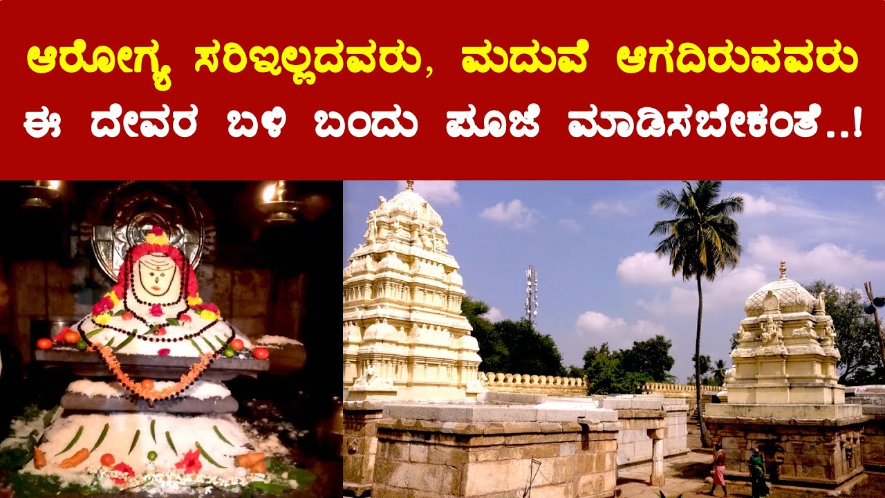 ಆರೋಗ್ಯ ಸರಿ ಇಲ್ಲದವರು, ಮದುವೆ ಆಗದಿರುವವರು ಈ ದೇವರ ಬಳಿ ಬಂದು ಪೂಜೆ ಮಾಡಿಸಬೇಕಂತೆ! - Sri Bhujangeshwara Temple
