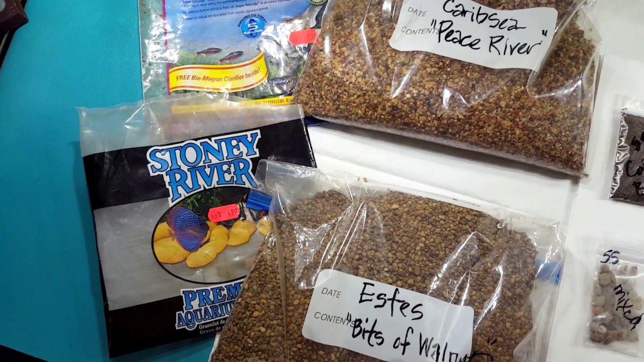 Part 1 Substrate, Sand, and Soil samples comparison