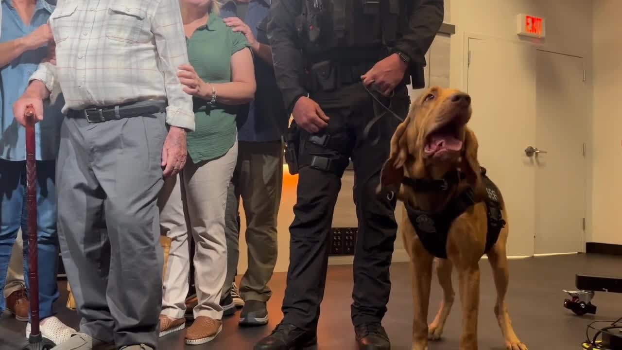 Emotional reunion between LCSO K9 and 79-year-old he found in Florida preserve
