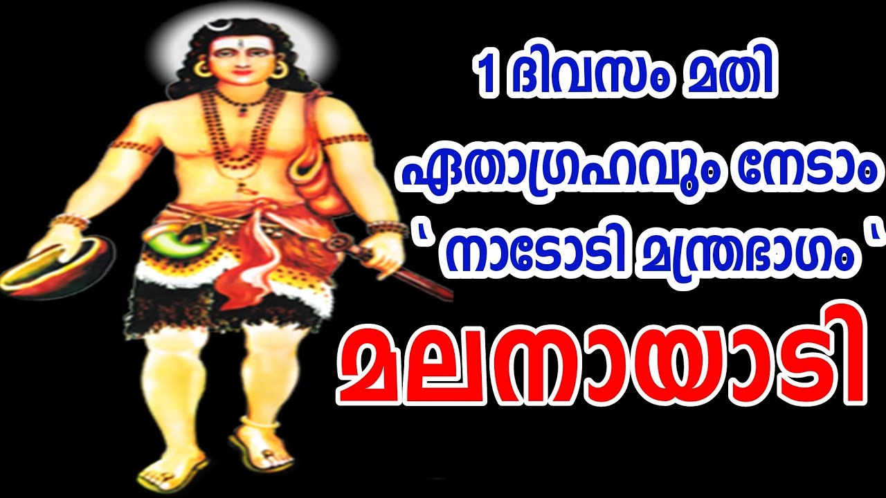 1 ദിവസം മതി ഏത് കാര്യവും നേടാം #മലനായാടി മന്ത്രം#malanayadi mantram #നായാടി സംബ്രദായം #Rahasya media
