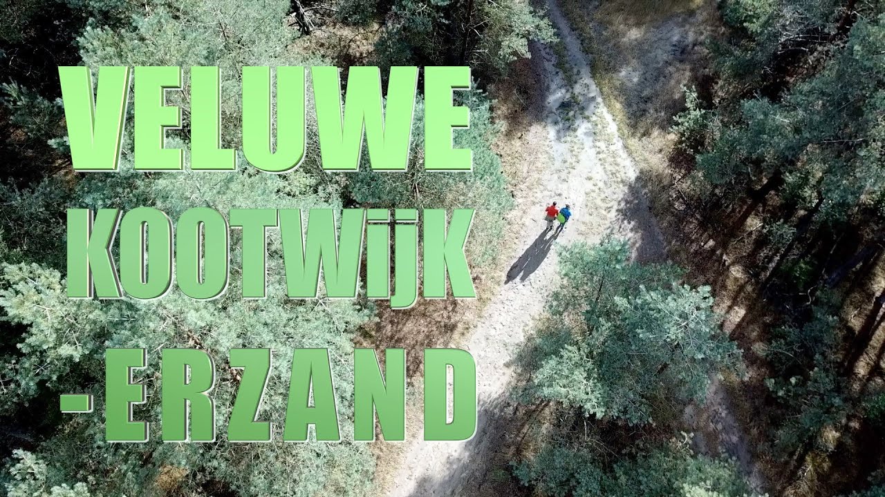 Veluwe ,Kootwijkerzand  ,Natuurcamping de Zanderdennen