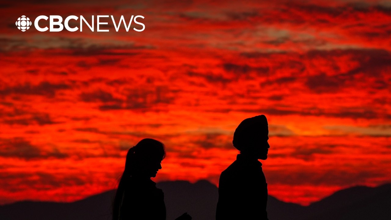 Wildfires are &lsquo;what we should expect for the foreseeable future&rsquo;: expert